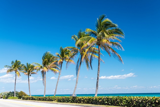 Palm Beach coastline