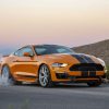 Mustang Shelby Sixt