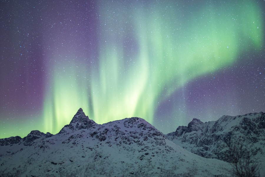 À espera da aurora boreal, brasileiro do Bodo resume goleada na